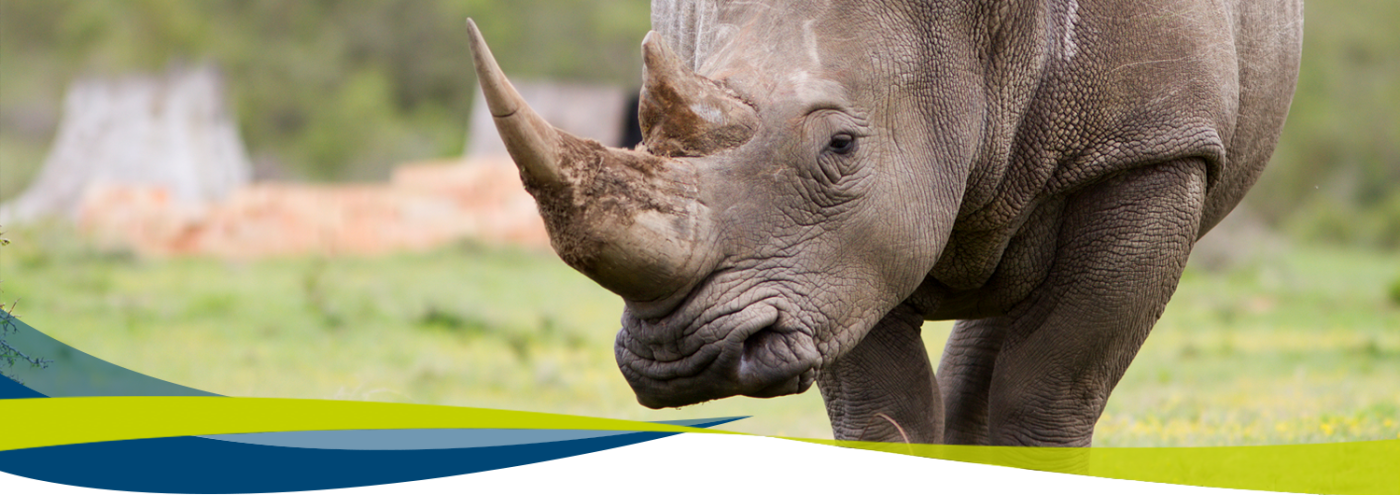 13th World Conference of Science Journalists