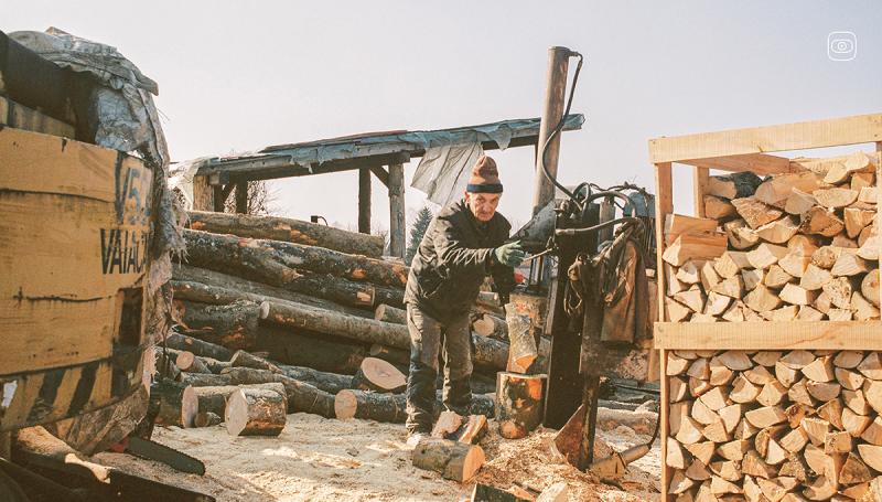 illegal deforestation balkans