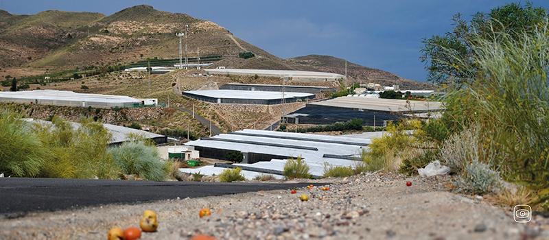 Claudia Colliva & Giada Santana