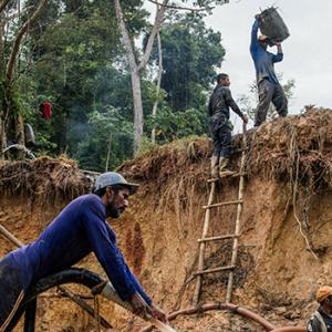 Suriname French Guyana gold mines