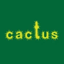 Cactus Media