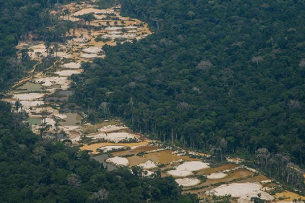 tracing gold from Brazil to Belgium
