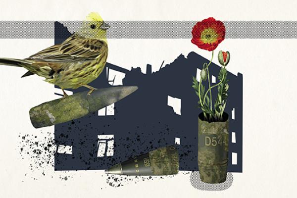 Overpriced Ammunition